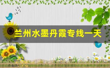 兰州水墨丹霞专线一天几辆车_兰州二日游最佳线路