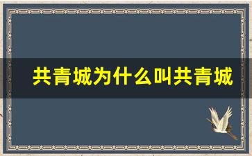 共青城为什么叫共青城_共青城15所大学