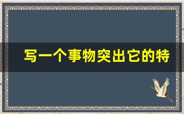 写一个事物突出它的特点