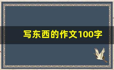 写东西的作文100字