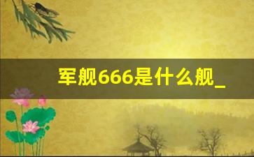 军舰666是什么舰_中国海军782舰