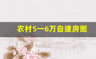 农村5一6万自建房图_农村自建一层三间小平房