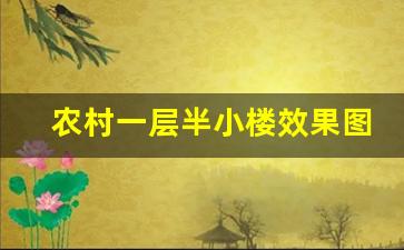 农村一层半小楼效果图_农村一层半带露台中式房子