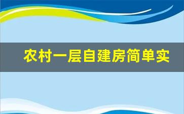 农村一层自建房简单实用