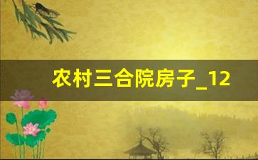 农村三合院房子_120平米的三合院一层