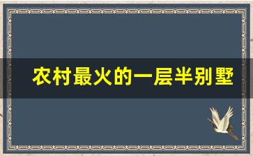 农村最火的一层半别墅_一层半新款农村楼房