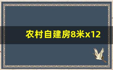 农村自建房8米x12米_二十万农村二层小别墅