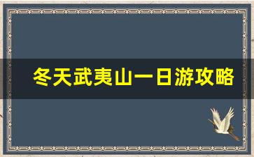 冬天武夷山一日游攻略_厦门到武夷山一日游