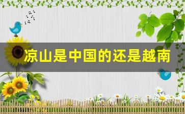 凉山是中国的还是越南的_1999年谁把老山划给越南的