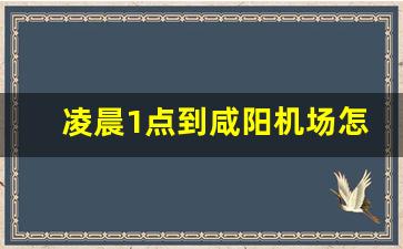 凌晨1点到咸阳机场怎么办_早上4点怎么去咸阳机场