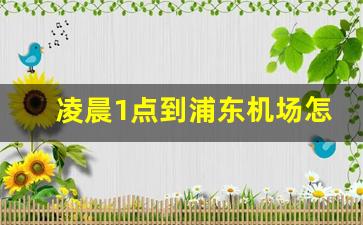 凌晨1点到浦东机场怎么办_上海浦东机场过夜攻略住宿