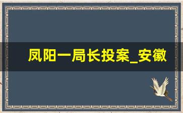 凤阳一局长投案_安徽凤阳十大事件