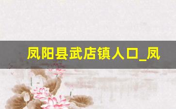 凤阳县武店镇人口_凤阳县人口2020总人数口