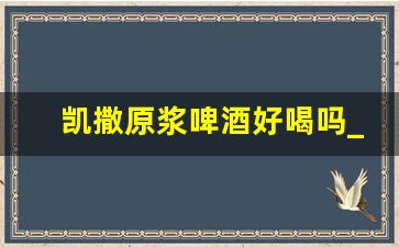 凯撒原浆啤酒好喝吗_原浆啤酒哪个牌子的好喝