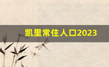 凯里常住人口2023_黔东南十六个县人口排名