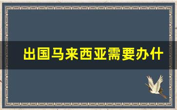 出国马来西亚需要办什么手续