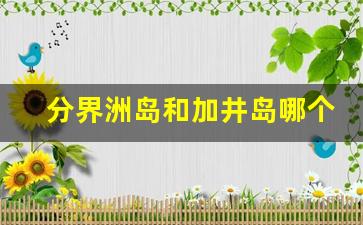 分界洲岛和加井岛哪个好_加井岛跟分界洲岛