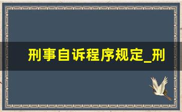 刑事自诉程序规定_刑事自诉败诉后果