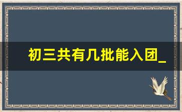 初三共有几批能入团_初中入团是老师内定的吗