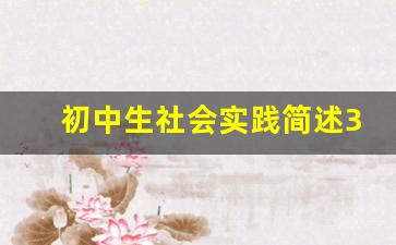 初中生社会实践简述30字_初中社会实践报告范文