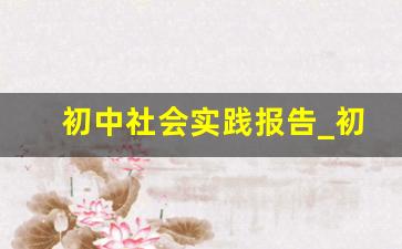 初中社会实践报告_初中社会实践简短20字