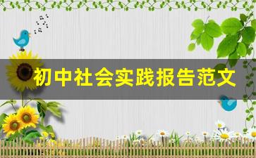 初中社会实践报告范文