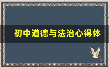 初中道德与法治心得体会600_道德与法治的心得体会800字