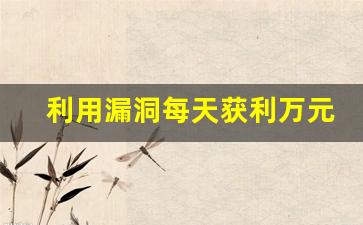 利用漏洞每天获利万元_帮人顶罪两年100万