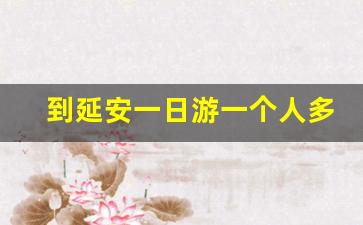 到延安一日游一个人多少钱_去延安玩住哪里方便玩