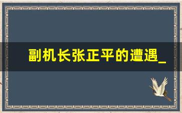 副机长张正平的遭遇_东航坠机是天注定的