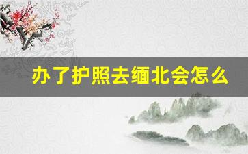 办了护照去缅北会怎么样_2023年出入境缅甸自由吗