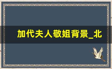 加代夫人敬姐背景_北京加代的爸爸是谁