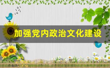 加强党内政治文化建设的意义_怎样理解加强党的政治建设