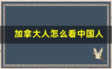 加拿大人怎么看中国人