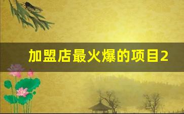 加盟店最火爆的项目2023_2023年加盟项目推荐