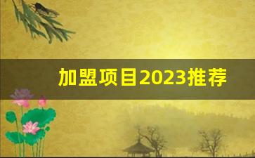 加盟项目2023推荐