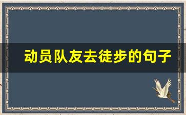 动员队友去徒步的句子_形容队友坑的幽默句子