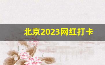 北京2023网红打卡地_北京室内打卡必去地方