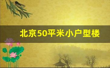 北京50平米小户型楼盘