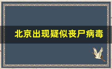 北京出现疑似丧尸病毒