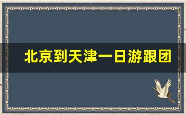 北京到天津一日游跟团