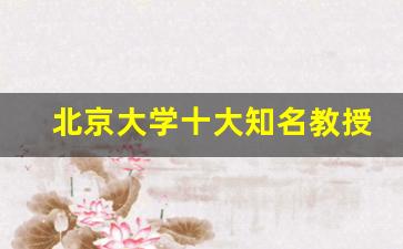 北京大学十大知名教授_北大十二位教授