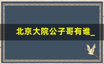 北京大院公子哥有谁_京圈公子哥里的超哥是谁