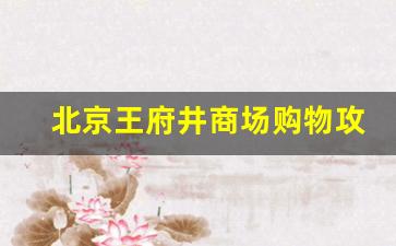 北京王府井商场购物攻略_北京王府井必买的清单