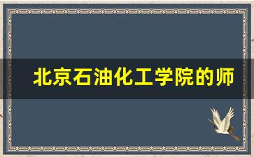 北京石油化工学院的师资力量_上海对外经贸大学