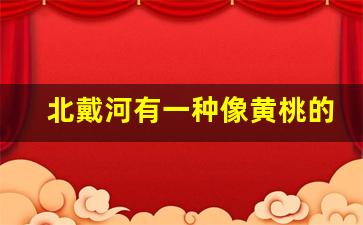 北戴河有一种像黄桃的水果_和黄桃很像的水果