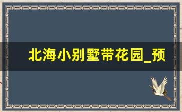 北海小别墅带花园_预计北海十年后房价