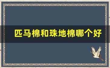 匹马棉和珠地棉哪个好_匹马棉好还是长绒棉好