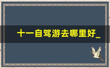 十一自驾游去哪里好_过年自驾游去哪里好玩