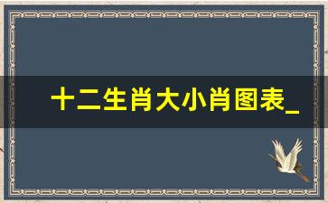 十二生肖大小肖图表_十二生肖属相大小